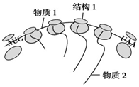 德优题库