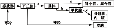 德优题库