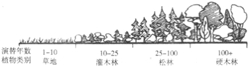 德优题库