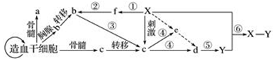 德优题库
