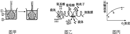 德优题库
