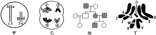 德优题库