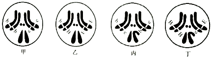 德优题库