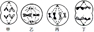 德优题库