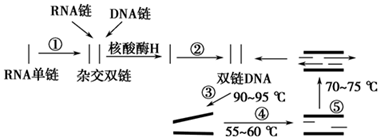 德优题库