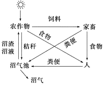 德优题库