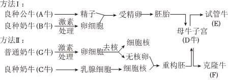 德优题库