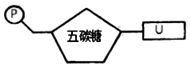 德优题库