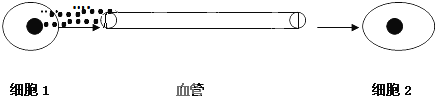 德优题库