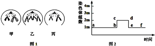 德优题库