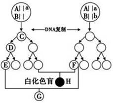 德优题库