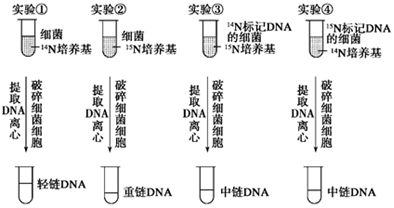 德优题库