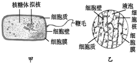 德优题库