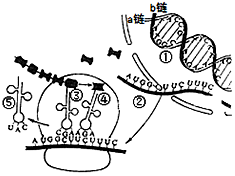 德优题库
