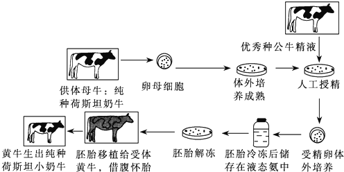 德优题库