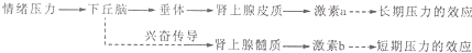 德优题库