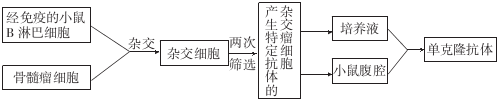 德优题库