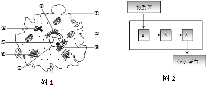 德优题库