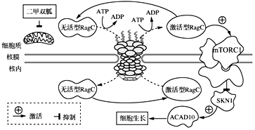 德优题库