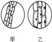 德优题库