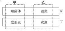 德优题库