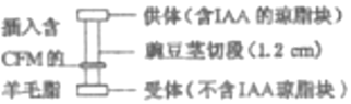 德优题库