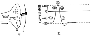 德优题库