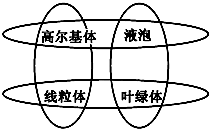 德优题库