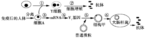 德优题库