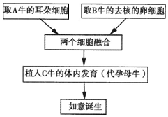 德优题库