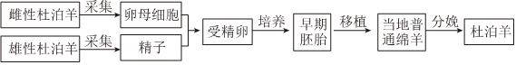 德优题库