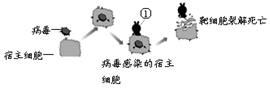 德优题库