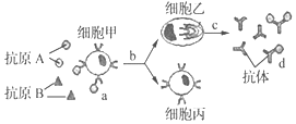 德优题库