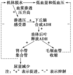德优题库