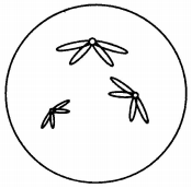 德优题库