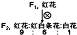 德优题库