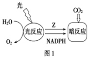 德优题库