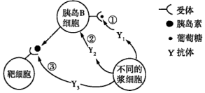 德优题库
