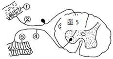 德优题库