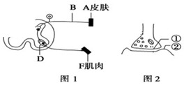 德优题库