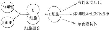 德优题库