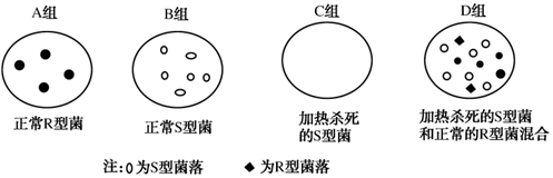 德优题库