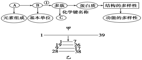 德优题库