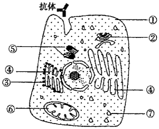 德优题库