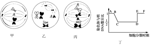 德优题库
