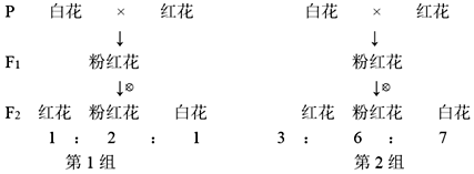 德优题库