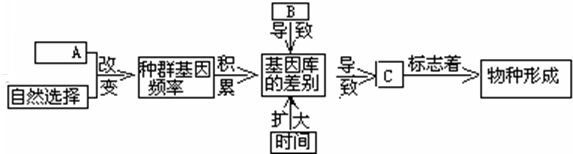 德优题库