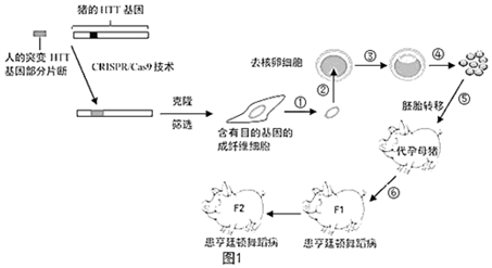 德优题库