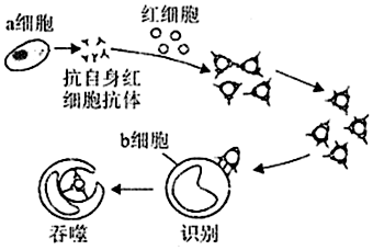 德优题库