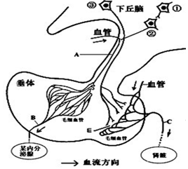 德优题库